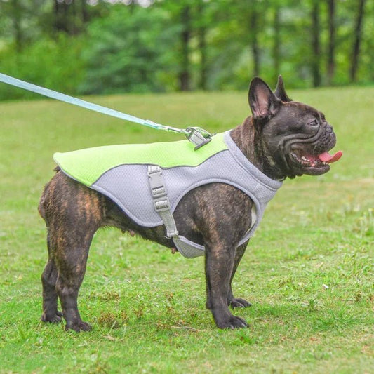 CoolWalk™ - Cool Coats For Dogs - Homeclick | One Click Away!