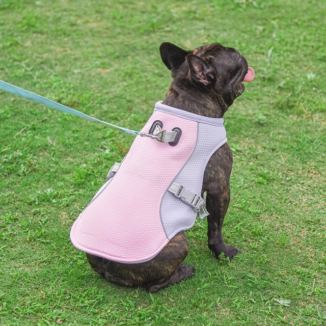 CoolWalk™ - Cool Coats For Dogs - Homeclick | One Click Away!