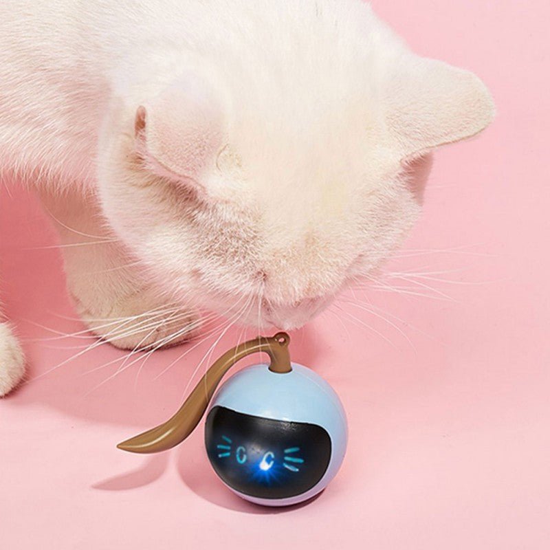 Electric Smart Cat Toy - Homeclick | One Click Away!