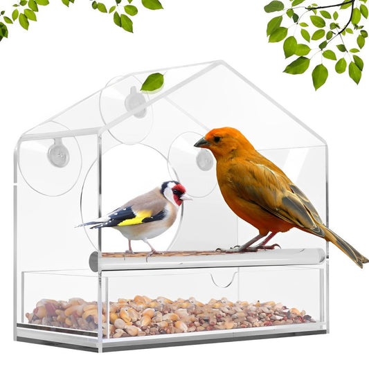 Window Bird Feeder - Homeclick | One Click Away!