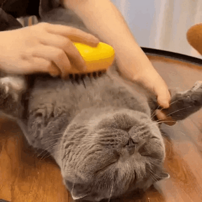 SteamBrush™ - Cat Grooming & Relaxation - Whisker Hub | Pet Supplies For Cats & Dogs