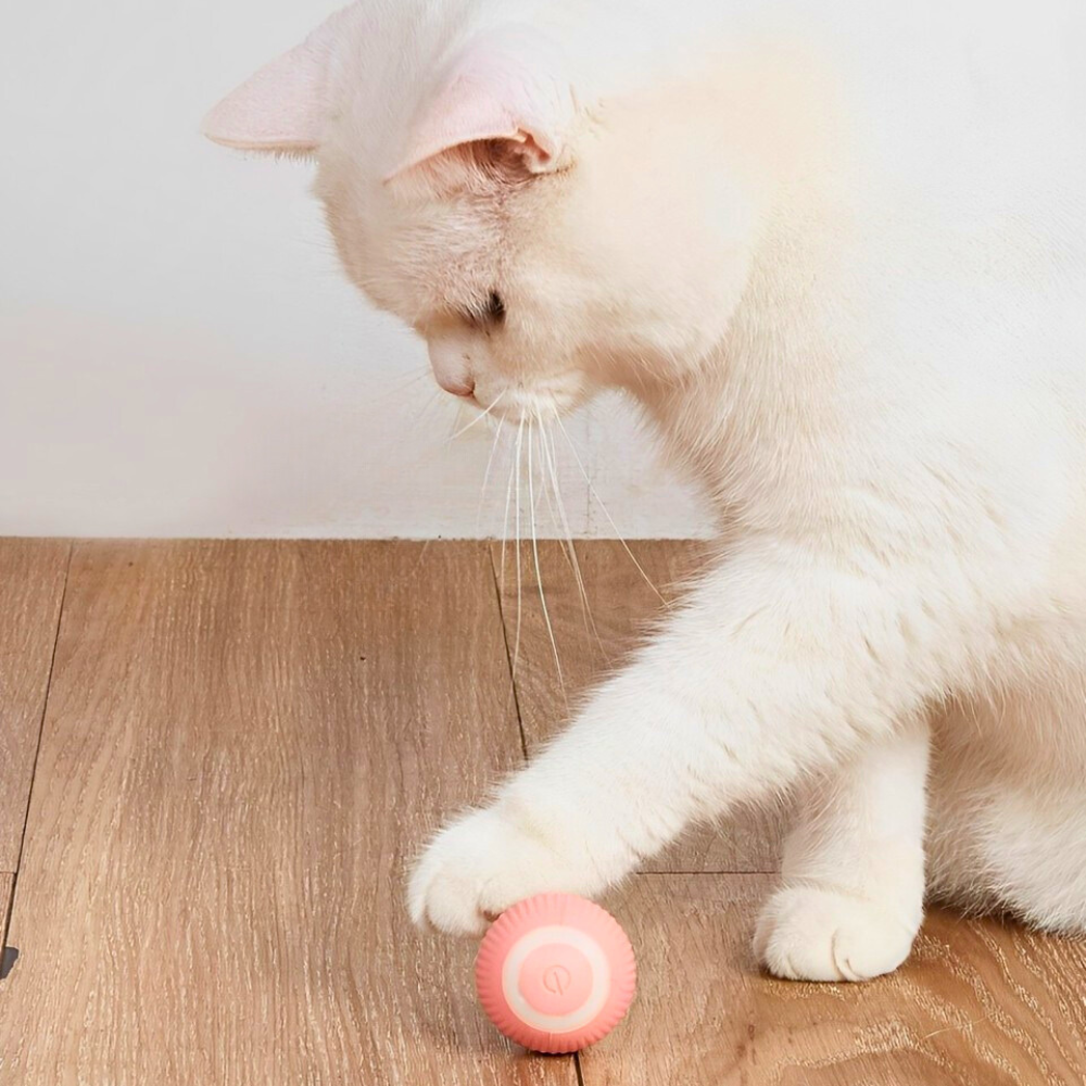 SmartBall™ - Smart Cat Ball Toy - Whisker Hub | Pet Supplies For Cats & Dogs